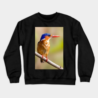 Malachite Kingfisher, Zambia Crewneck Sweatshirt